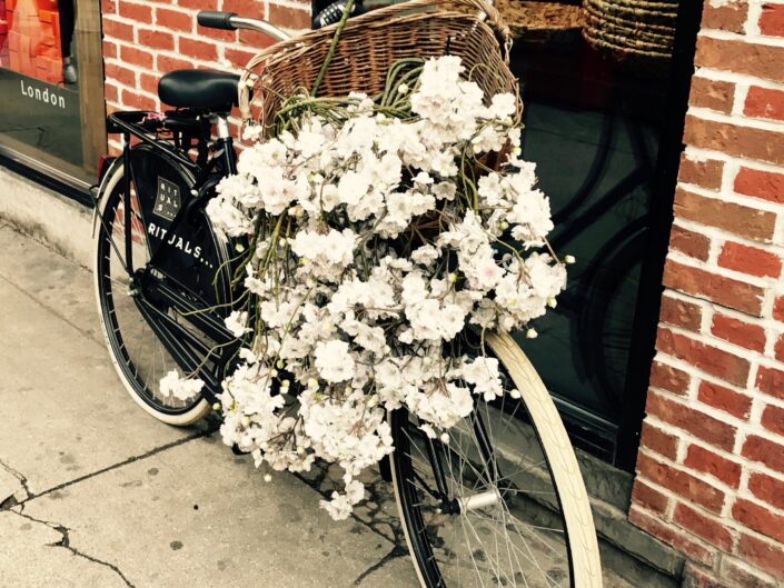 They Are Bikes, Diane M. Conn, Photography, Photographer